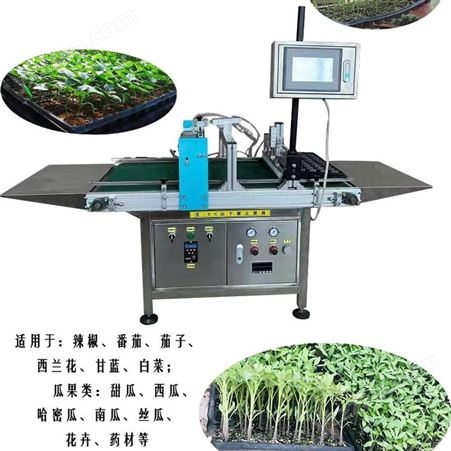  质量保障 高效率高精准 全自动穴盘育苗机 蔬菜播种机