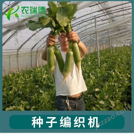 萝卜白菜种子播种机一穴一粒   农瑞德数控种子编织机NRD~07型