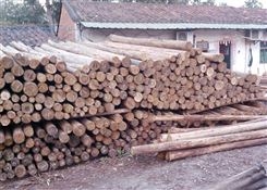 东莞杉木供应商 杉木方料 杉木各种尺寸齐全欢迎