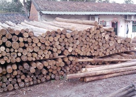 东莞杉木供应商 杉木原产地批发 杉木木方价格