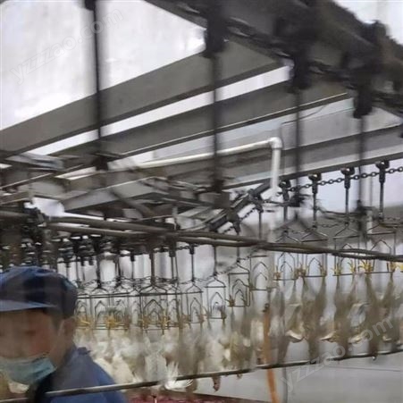 鸭子生产流水线设备 家禽屠宰沥血流水线 鸡鸭鹅脱毛流水线 英博直销