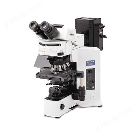 BX61智能型全自动/半自动正置显微镜 金相显微镜 奥林巴斯显微镜