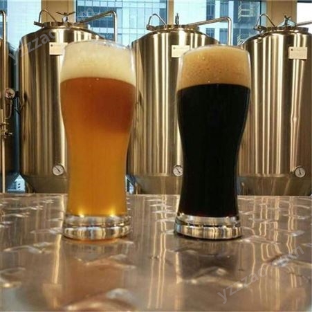 广州大型啤酒设备 啤酒厂啤酒设备