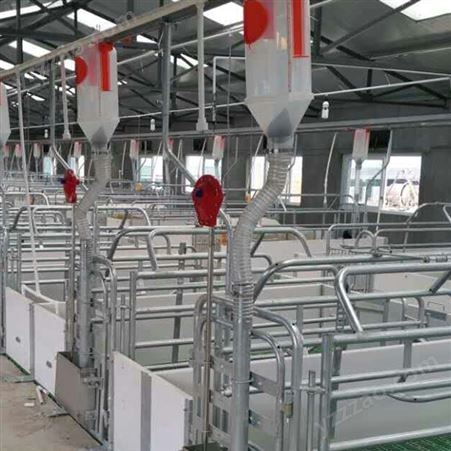 厂家生产 养殖场欧式产床 PVC围栏欧式产床 欧式双体产床