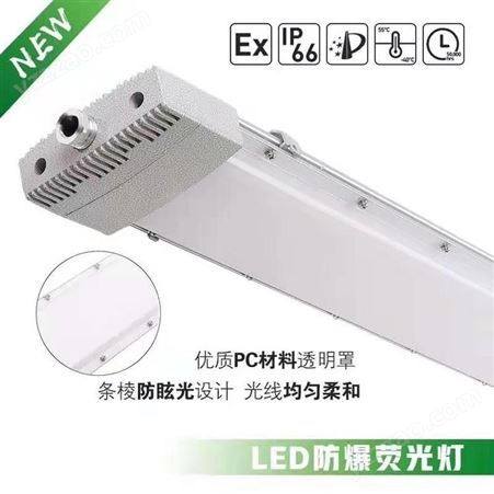 LED防爆应急荧光灯LED防爆灯40w60w