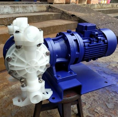 DBY-100铝合金电动隔膜泵 2.5寸法兰铸铁电动泵