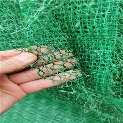 生态植被毯生产厂家 草籽三维植草网 山体护坡绿化草毯 EM3植被网价格