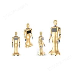智能人形大金机器人销售 卡特人形机器人批发商