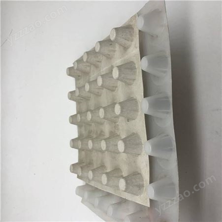 泰安诺联供应塑料排水板_20厚排水板每平方单价