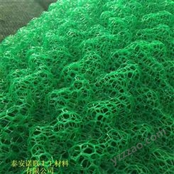 诺联 三层三维土工网垫 河道护坡用固土三维植被网