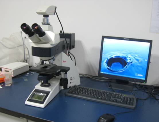 徕卡正置荧光显微镜标准操作规程（北京中显： 权威发布）
